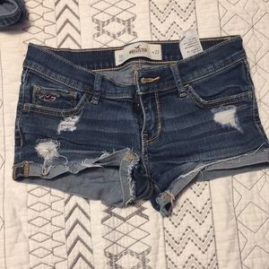 hollister shorts !